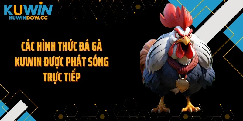 Các hình thức đá gà KUWIN được phát sóng trực tiếp