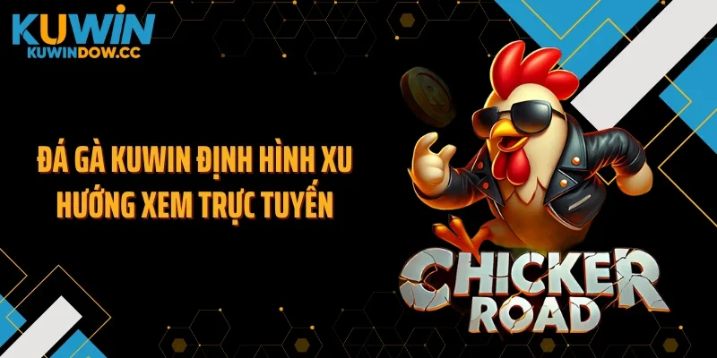 Đá gà KUWIN định hình xu hướng xem trực tuyến
