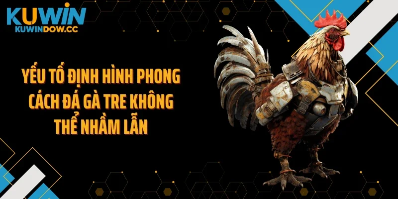 Yếu tố định hình phong cách đá gà tre không thể nhầm lẫn